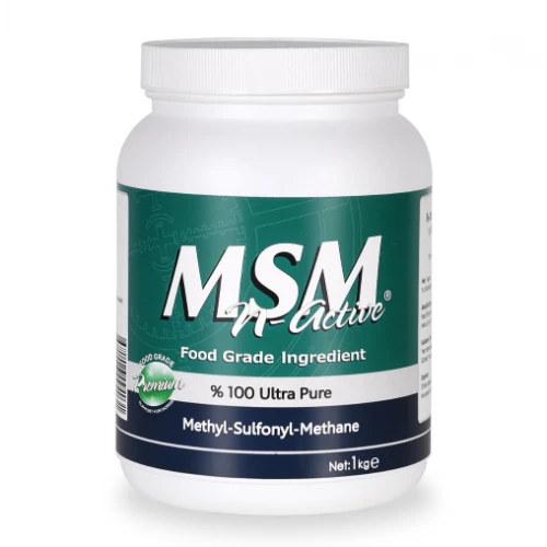 N-ACTİVE - MSM 1 KG