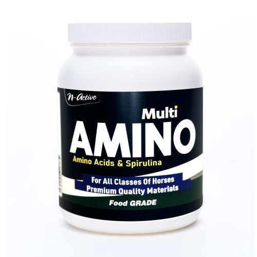 N-ACTİVE - MULTİ AMİNO ACİD 1 KG