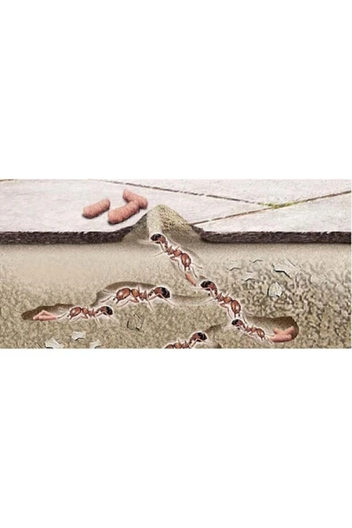 Karınca Toz Habitro (80 GR) Granül Halinde - 2