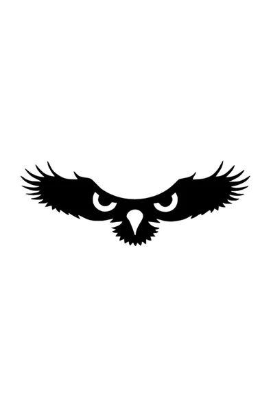 Kartalın Gözleri Duvar Dekor Sticker 40 X 16 Cm