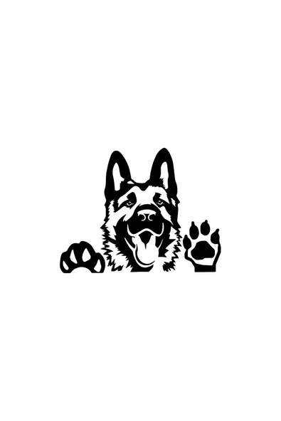 Tatlı Köpek Duvar Dekor Sticker 40 X 32 Cm