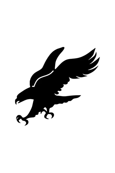 Avlanan Kartal Duvar Dekor Sticker 40 X 36 Cm