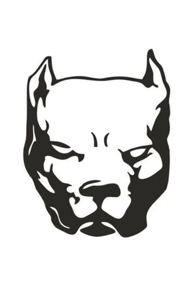 Pitbull Duvar Dekor Sticker 40 X 48 Cm