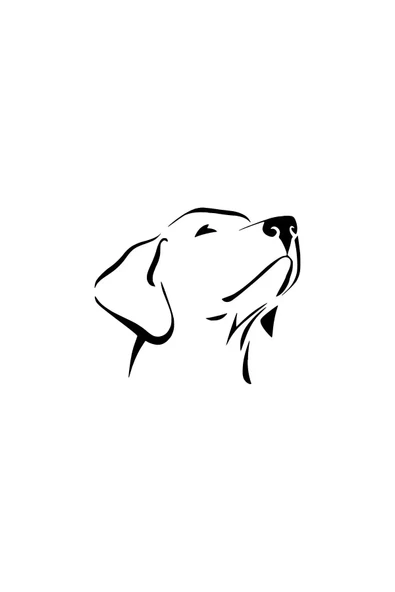 Asil Köpek Sticker 30 X 27 Cm