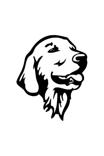 Goldenretriever Sticker 10 X 12 Cm