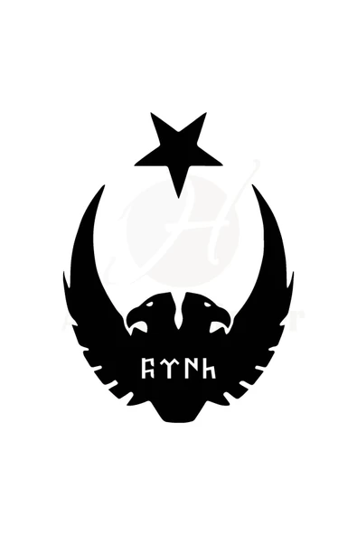 Ay Yıldız Kartal Göktürkçe Türk Oto özel yeni sticker Siyah 30*25 Cm