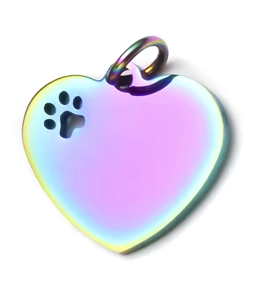 Kişiye Özel Kalp Model Patili Çelik Kedi Köpek Künyesi - 2