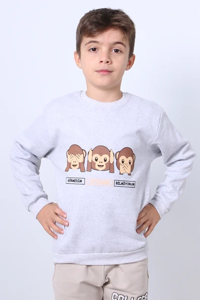 ERKEK ÇOCUK ŞARDONLU SWEAT KARAKTER BASKILI RİBANALI E34 - 5
