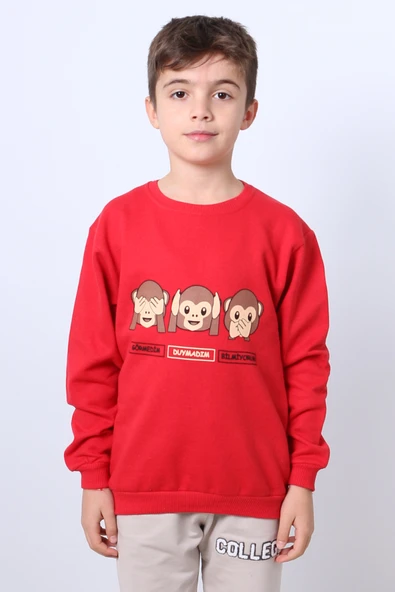 ERKEK ÇOCUK ŞARDONLU SWEAT KARAKTER BASKILI RİBANALI E34 - 9