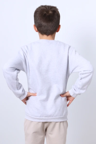 ERKEK ÇOCUK ŞARDONLU SWEAT KARAKTER BASKILI RİBANALI E34 - 7