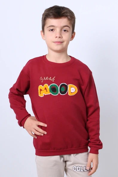 ERKEK ÇOCUK ŞARDONLU SWEAT MOOD NAKIŞ DETAYLI RİBANALI E35 - Resim 2