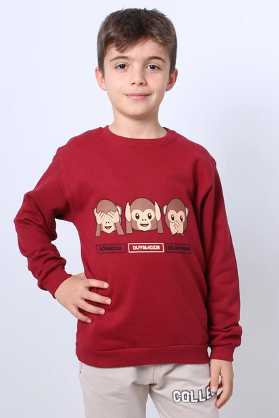 ERKEK ÇOCUK ŞARDONLU SWEAT KARAKTER BASKILI RİBANALI E34 - 2