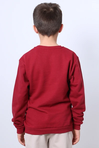 ERKEK ÇOCUK ŞARDONLU SWEAT KARAKTER BASKILI RİBANALI E34 - 3