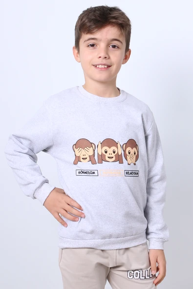 ERKEK ÇOCUK ŞARDONLU SWEAT KARAKTER BASKILI RİBANALI E34 - 6
