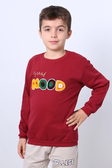 ERKEK ÇOCUK ŞARDONLU SWEAT MOOD NAKIŞ DETAYLI RİBANALI E35 - Resim 3