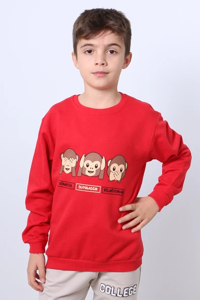 ERKEK ÇOCUK ŞARDONLU SWEAT KARAKTER BASKILI RİBANALI E34 - 10