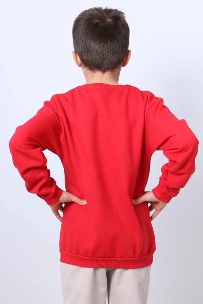 ERKEK ÇOCUK ŞARDONLU SWEAT KARAKTER BASKILI RİBANALI E34 - 11
