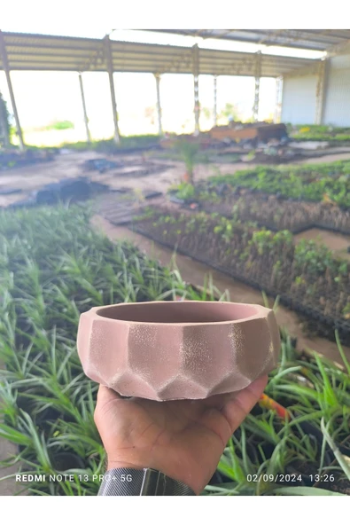 Geometrik taş Orkide bonsai ve aranjman saksısı