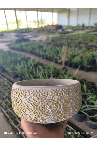 Dantel desenli Bonsai aranjman ve Orkide saksısı no 1