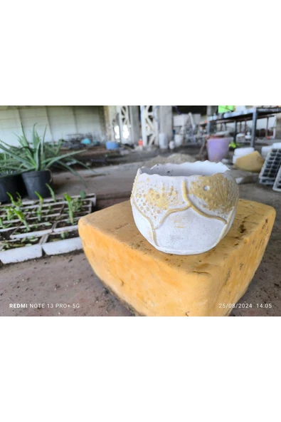 Yaprak desenli Beton orkide aranjman ve bonsai saksısı