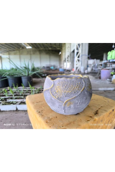Yaprak desenli Beton orkide aranjman ve bonsai saksısı