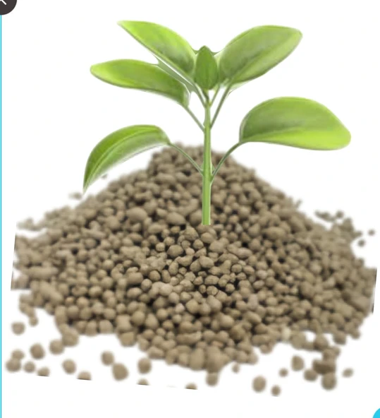 Dap Gübre 18.46.0 Taban Gübresi Diamonyum Fosfat Kompoze Gübre Yavuzer Tarım Gübre 10Kg - 3