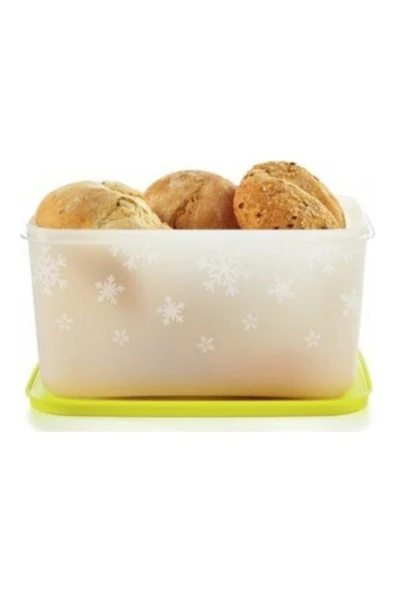 Alaska 2.5 Lt - Resim 2