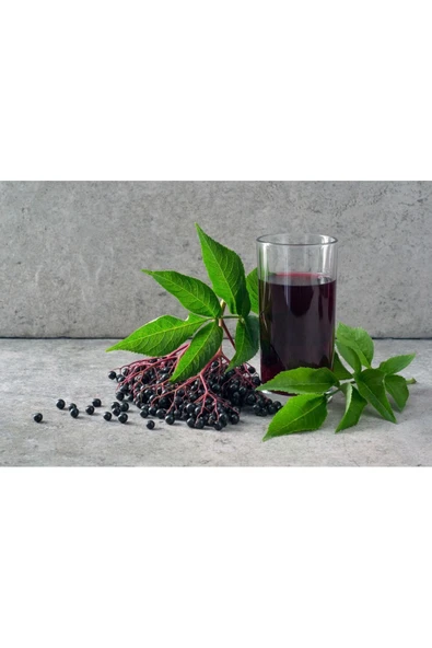 HARMONYPLUS Karadut Özü 700 gr (Soğuk Sıkım) - 3