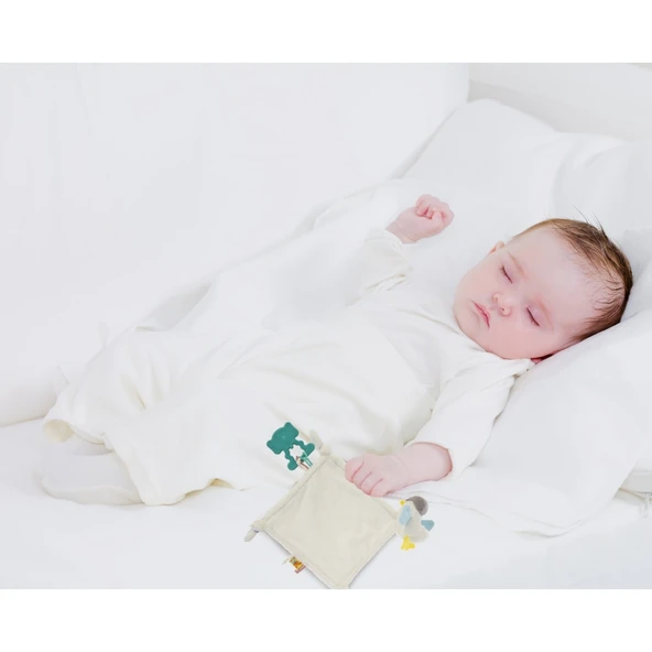 BabyJem Diş Kaşıyıcılı Uykucu Birdy 858 - 6