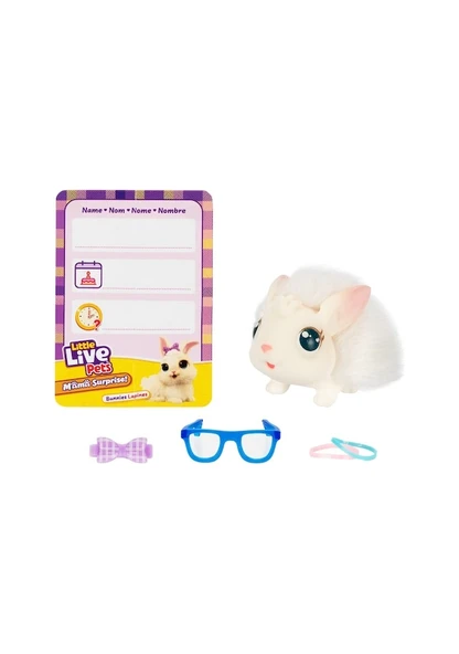 Little Live Pets Anne ve Yavruları Mama Surprise Bunnies 26593 - Resim 10