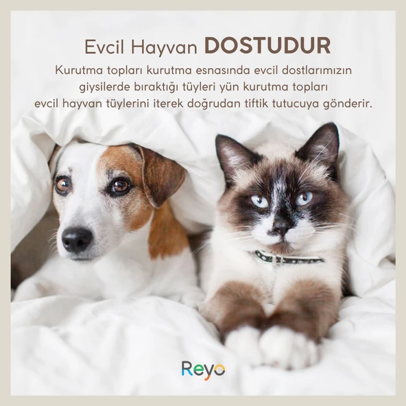 Reyo Yün Çamaşır Kurutma Makinası Topu 3 Adet XL %100 Organik - 6