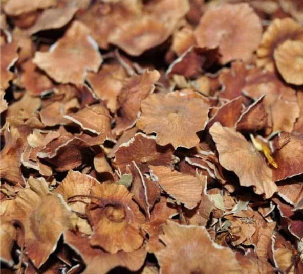 Deve Tabanı Otu  Karaçalı Otu Çarkıfelek Otu  200 Gr