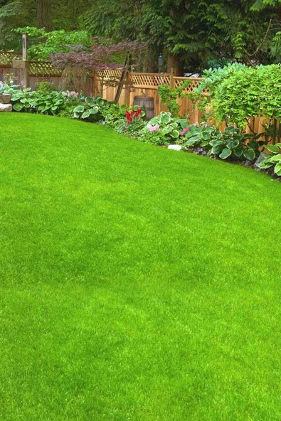 5 Adet Çim Tohumu İthal 7 Mix Ankomer 1'lik Paketler ( Toplam 5 Kg. ) 7M Çim Tohumu 100 m2 Alan İçin - 2