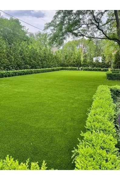 7m Sultan Çim Tohumu Karışımı 10kg - 3