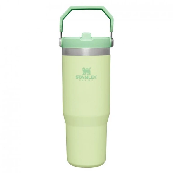 Stanley The IceFlow Flip Straw Pipetli Termos Bardak 0,89 Lt - 10