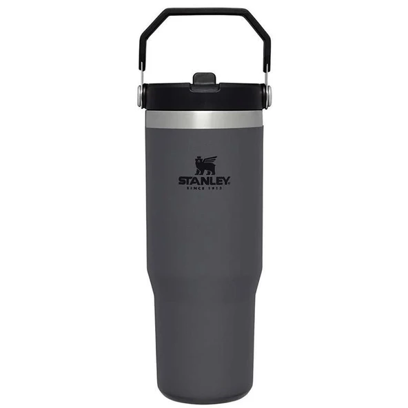 Stanley The IceFlow Flip Straw Pipetli Termos Bardak 0,89 Lt - 11