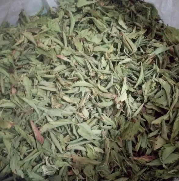 Stevia 300 gr Doğal Tatlandırıcı Şeker Otu Yaprağı - Kalorisiz Yağsız Stevya Yaprağı
