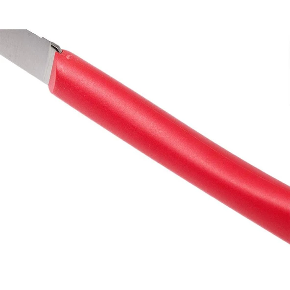 Opinel Bon Appetit Plus Paslanmaz Çelik Sofra Bıçağı - 5