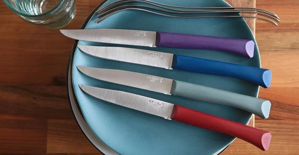 Opinel Bon Appetit 4 Parça Paslanmaz Sofra Bıçağı - 7