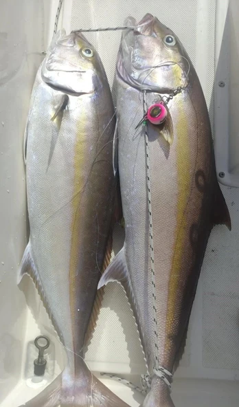 Anchor Melek Gözü [ Glowlu ]  PEMBE 150 Gr - 5