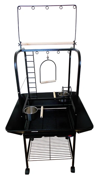 Dayang Papağan Eğitim Sehpası Ayaklı Siyah 67x64x140