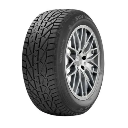 Riken Snow 225/45 R18 95V XL Kış Lastiği - 2024