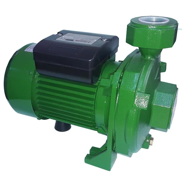 Atlantis Blu DMLA 30-1.5M 2 HP Tek Kademeli Basınçlı Santrifuj Bahçe Pompası 220V - 2