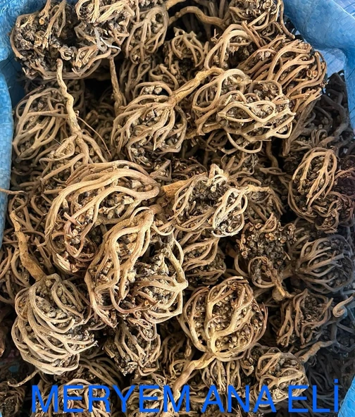 Kolay Doğum Için 1 kg Meryam Ana eli otu Fatma Ana Eli Otu