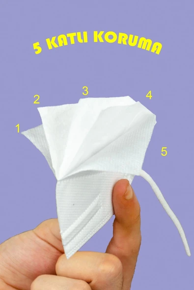Ffp2 N95 Meltblown Maske Beş Katlı Koruma 10'lu x 4 Kutu - 5