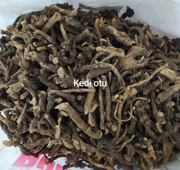 Kedi Otu Kökü 100 gr ( Orjinal, Elenmiş, Katkısız )