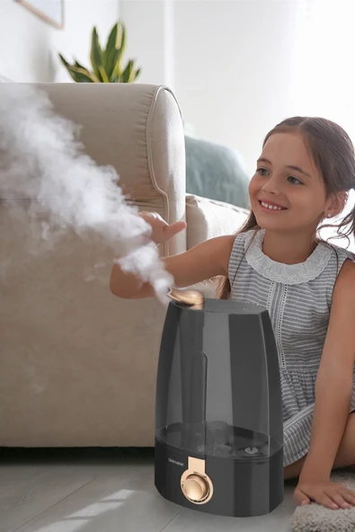 GOLDMASTER GM-7912 BUHAR MAKINESI - 4