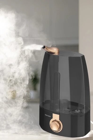 GOLDMASTER GM-7912 BUHAR MAKINESI - 6