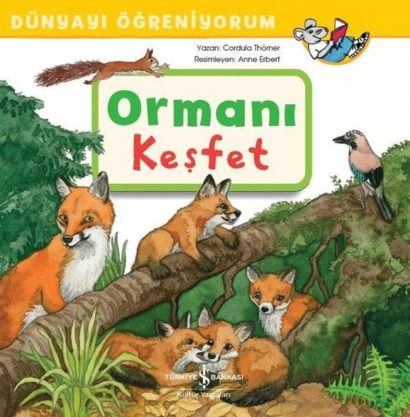 Dünyayı Öğreniyorum Ormanı Keşfet CORDULA THÖRNER