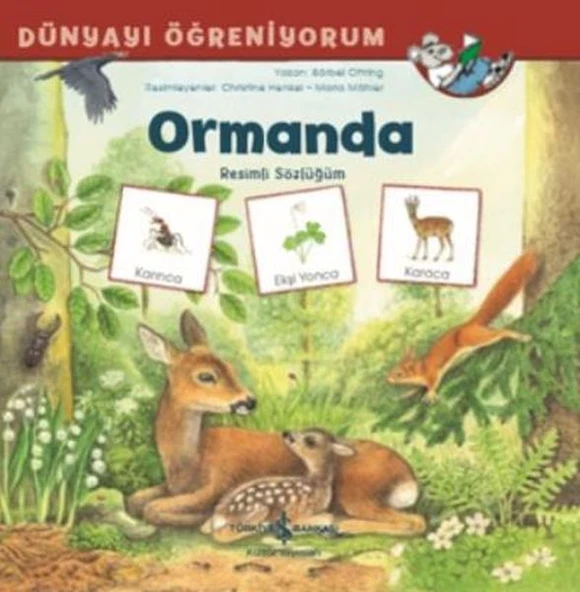 Dünyayı Öğreniyorum Ormanda Resimli Sözlüğüm BARBEL OFTRING